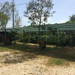 Ponte